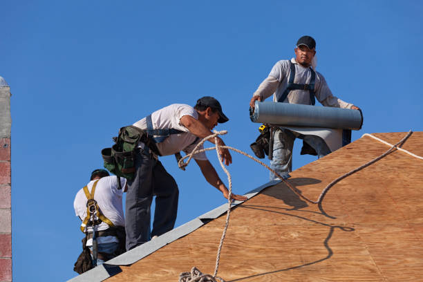 Best Gutter Installation and Roofing  in Harrodsburg, KY